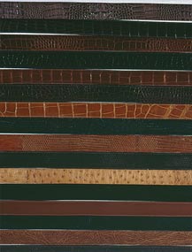 Assorted Leather and Exotic Belts