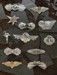 Pins in Sterling Silver