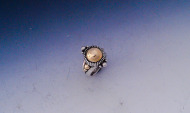 Zia Ring with Gold Detailing